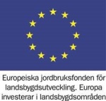 EU-logga Bastuträsk BY.jpg